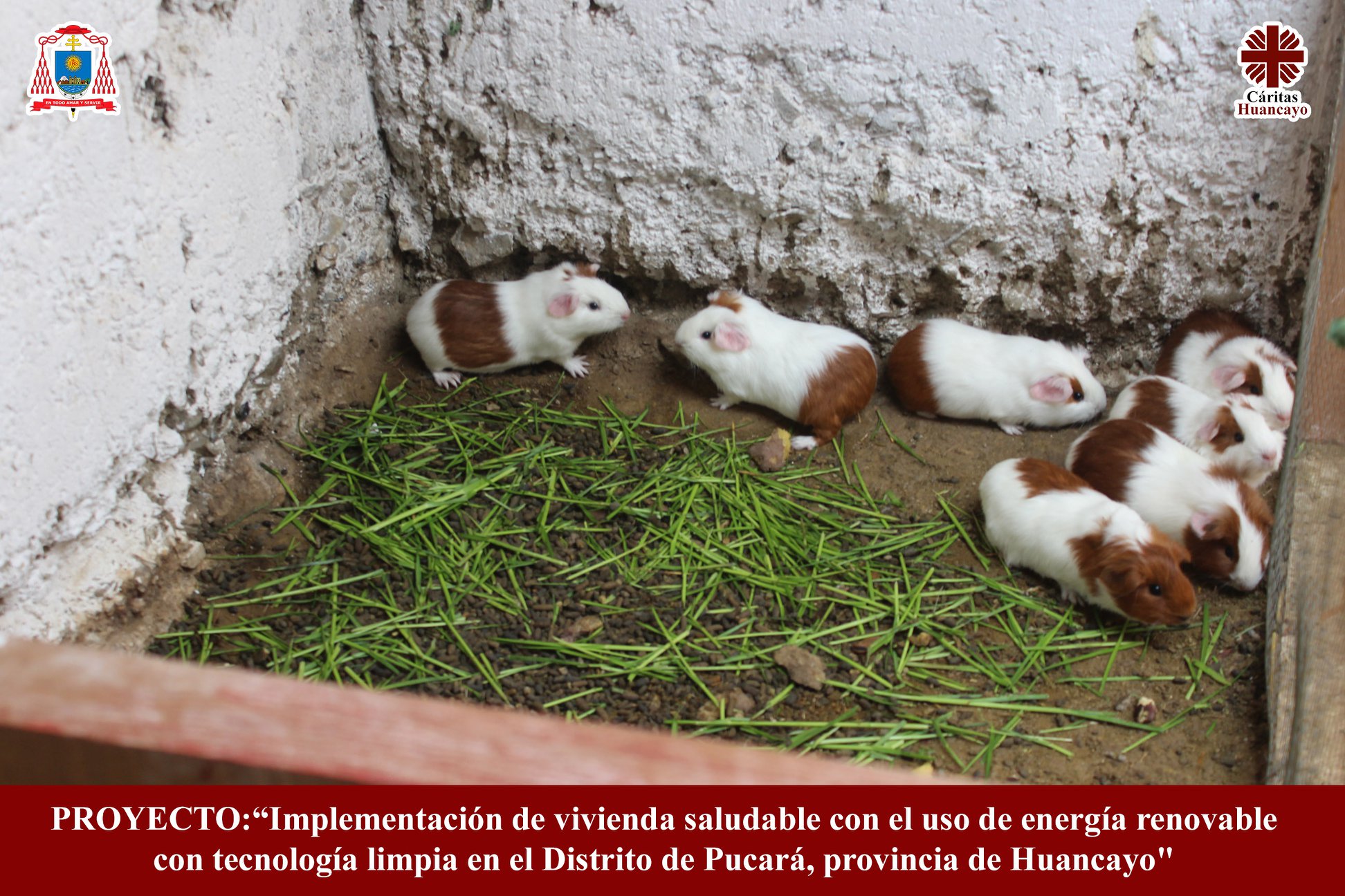 Implementación de vivienda saludable con el uso de energía renovable con tecnología limpia en el Distrito de Pucará, Provincia de Huancayo